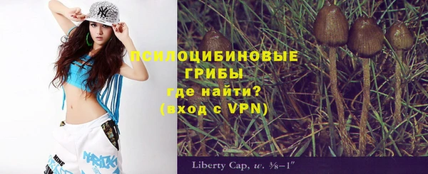 a pvp Алексин