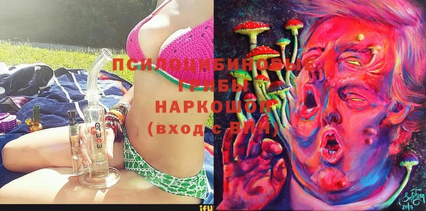 Альфа ПВП Алзамай