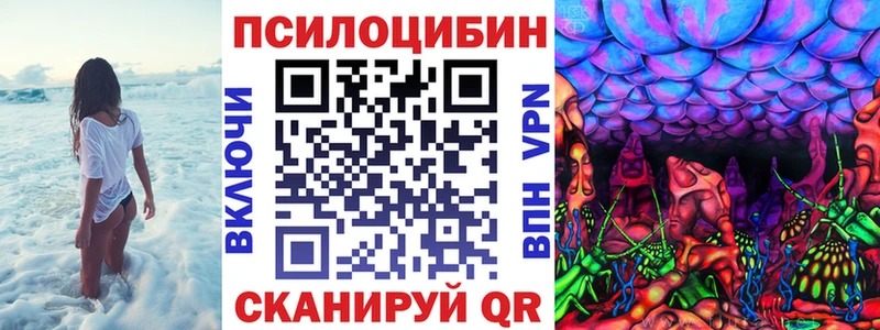 Псилоцибиновые грибы Cubensis купить наркоту Камызяк